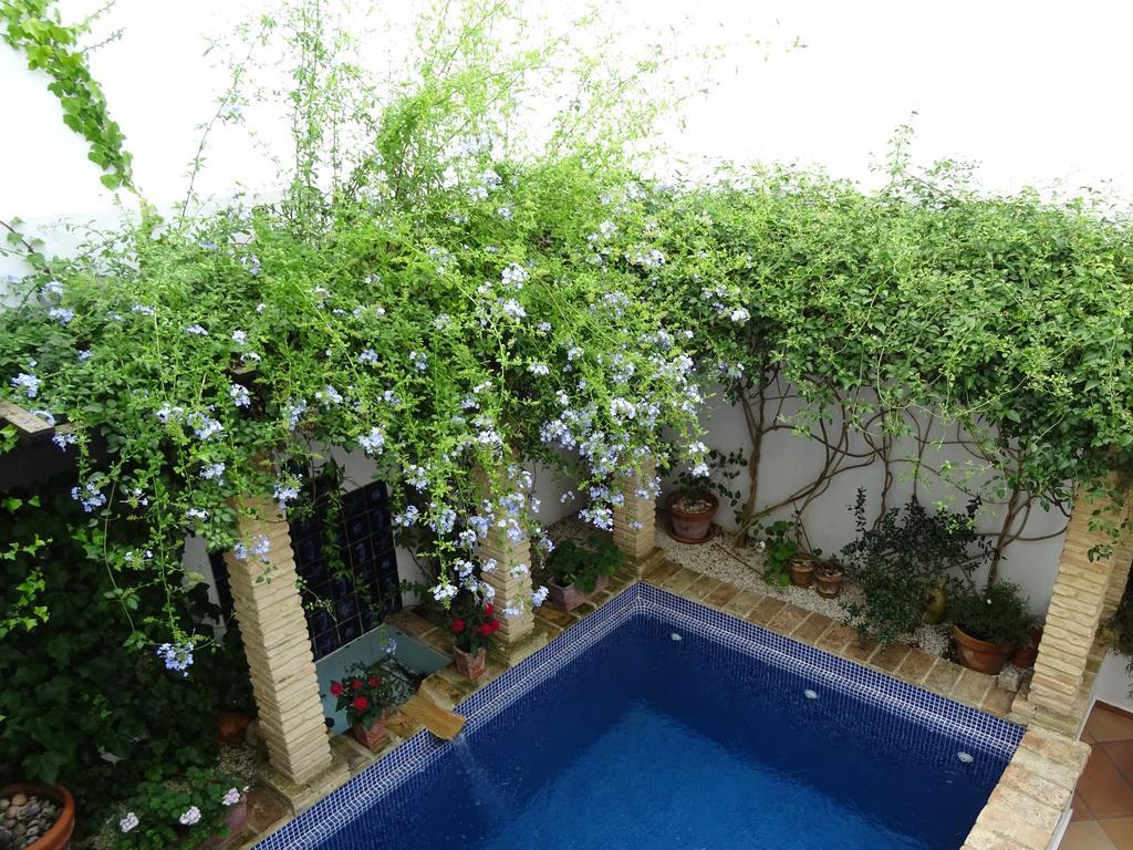 Casa La Loba Hotel Medina-Sidonia Bagian luar foto
